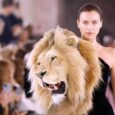 This Paris fashion week Daniel Roseberry’s faux Schiaparelli wildlife designs got a lot of attention online. They included a “leopard” that seemed to have sprung out from Shalom Harlow’s chest, […]